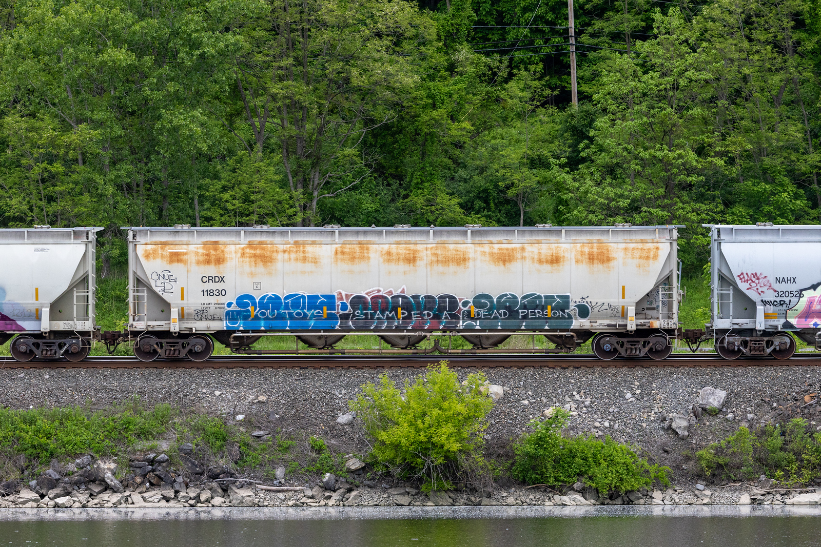 CRDX 11830