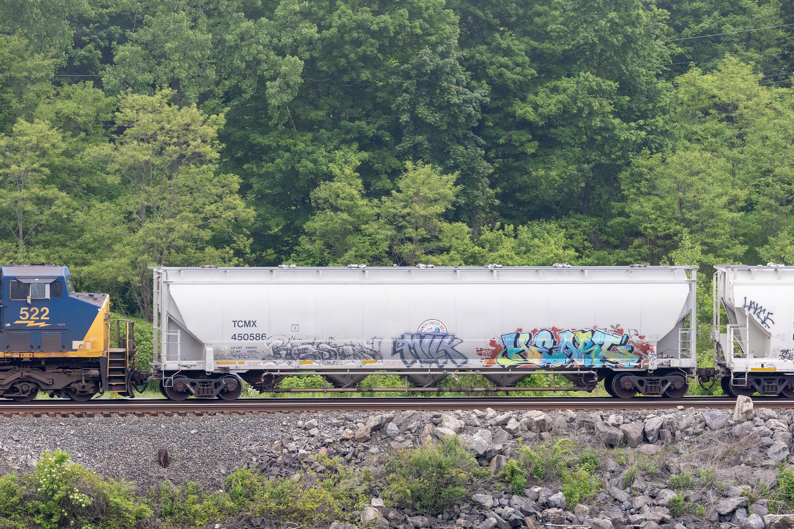 TCMX 450586