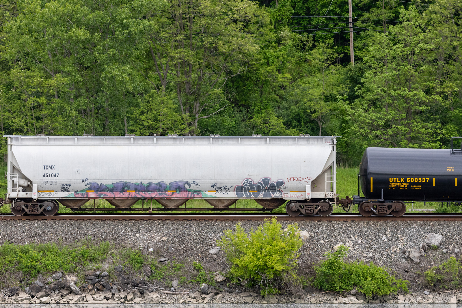 TCMX 451047