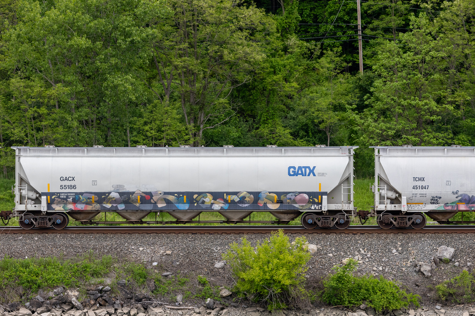 GACX 55186