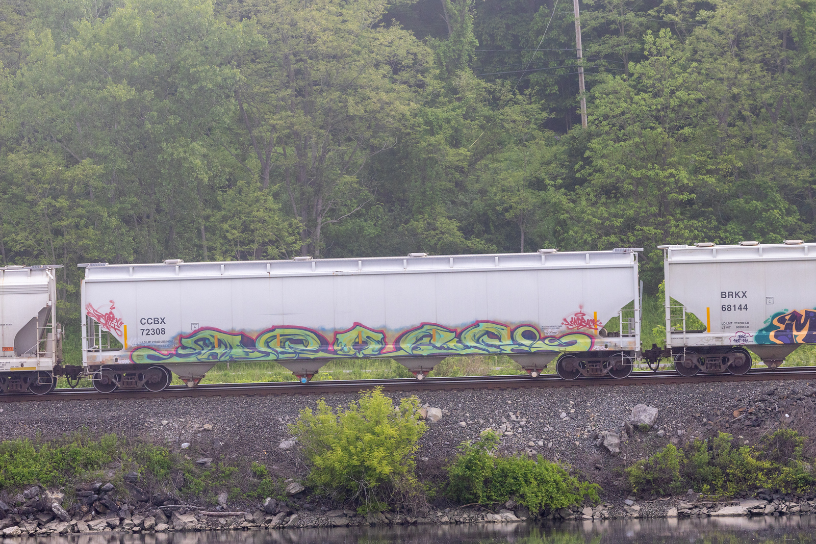 CCBX 72308