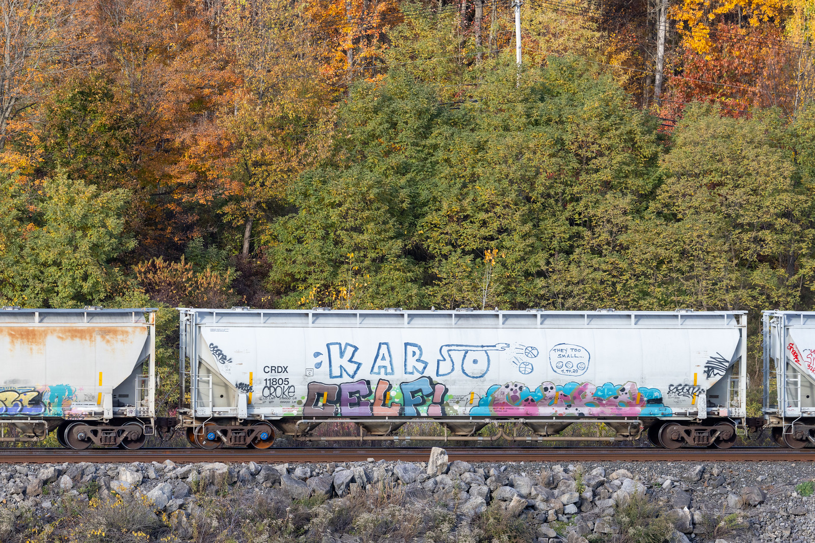 CRDX 11805