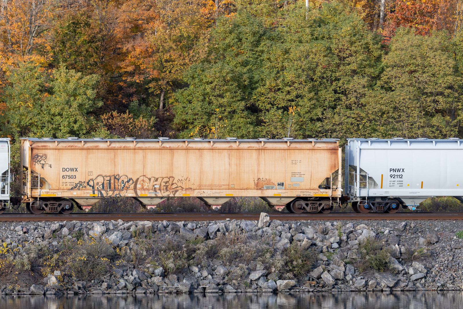 DOWX 67503
