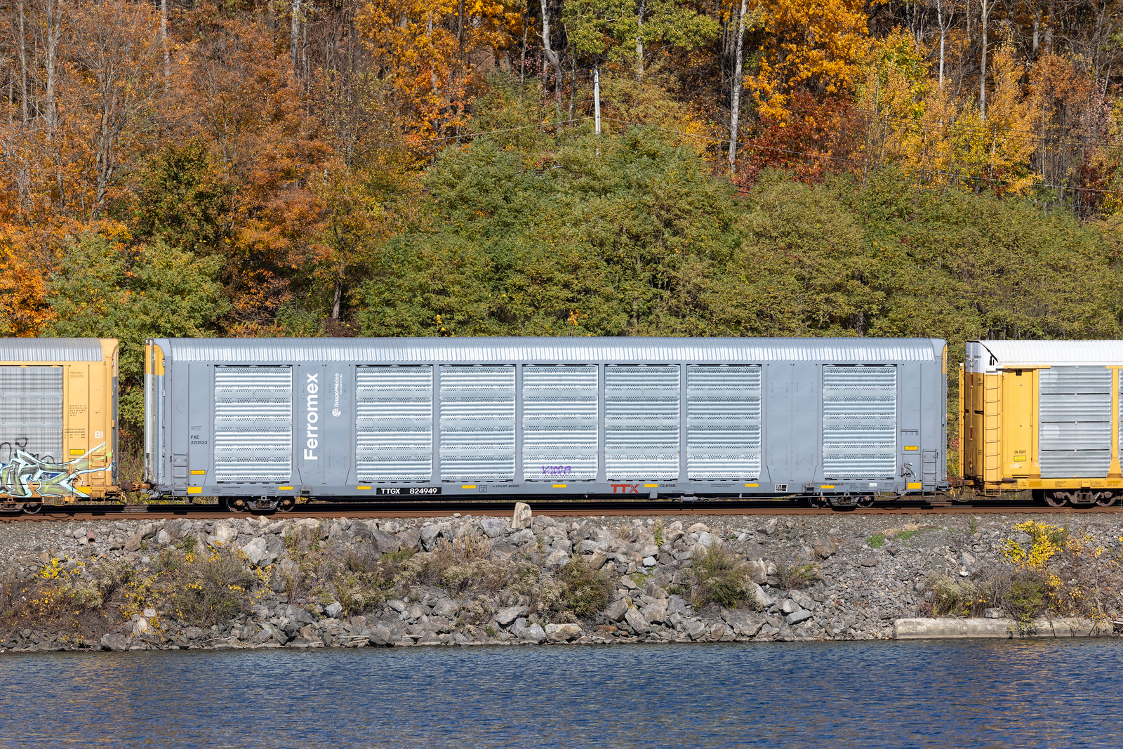 TTGX 824949