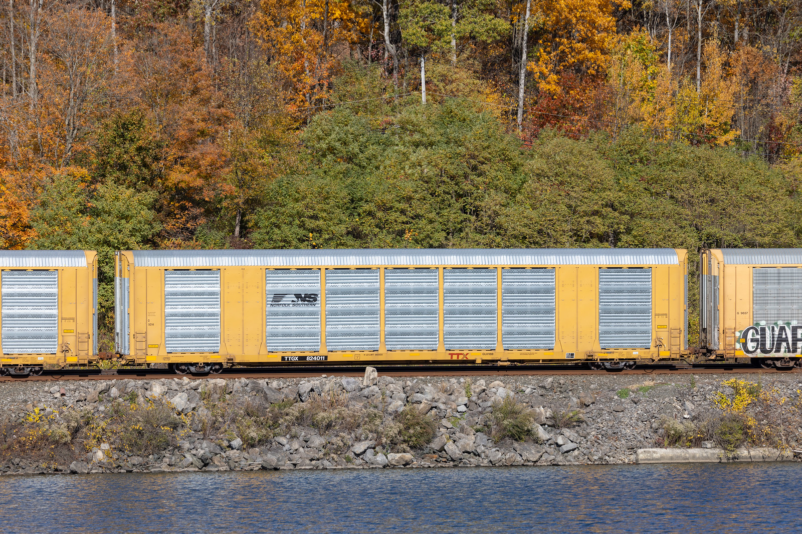 TTGX 824011