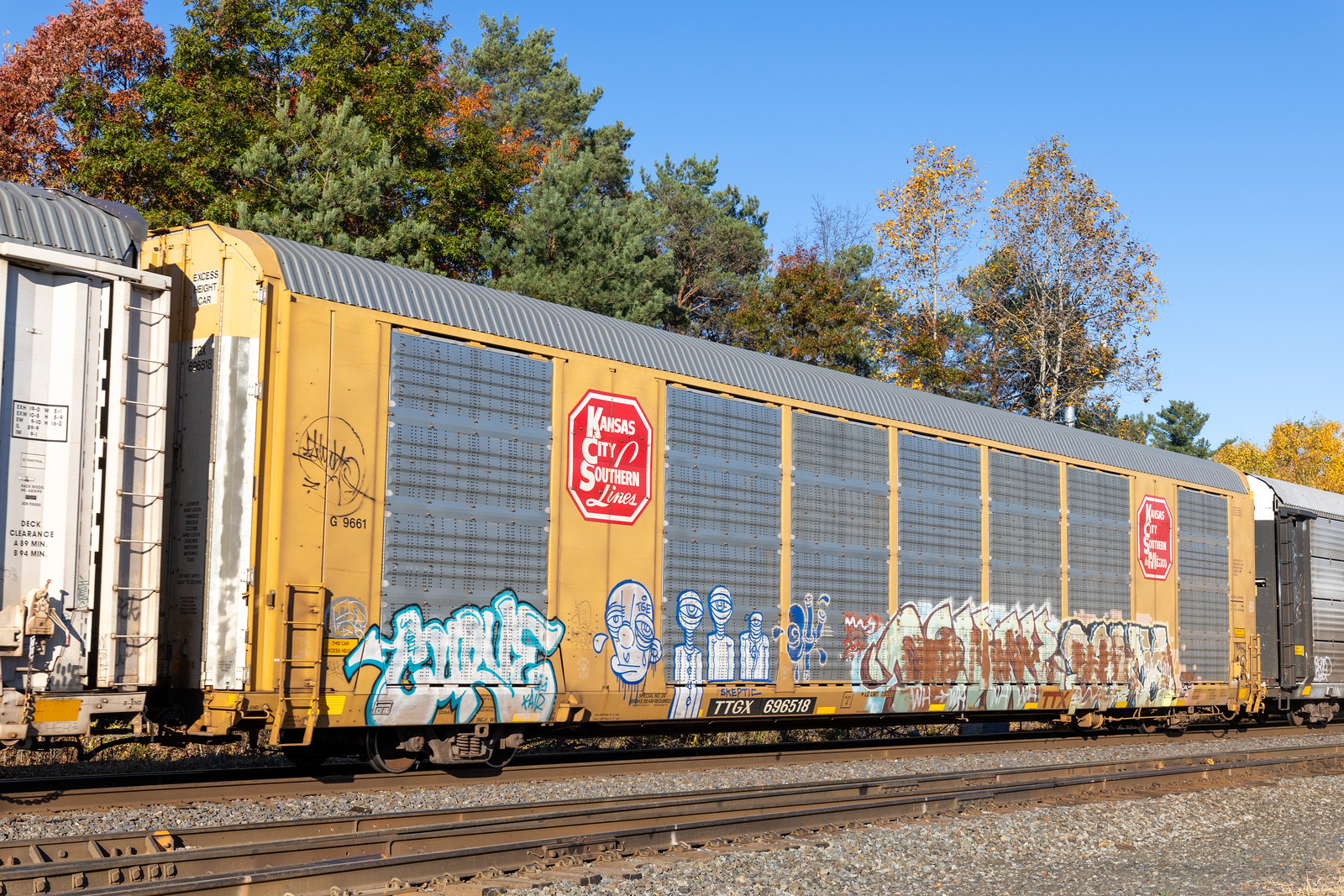 TTGX 696518