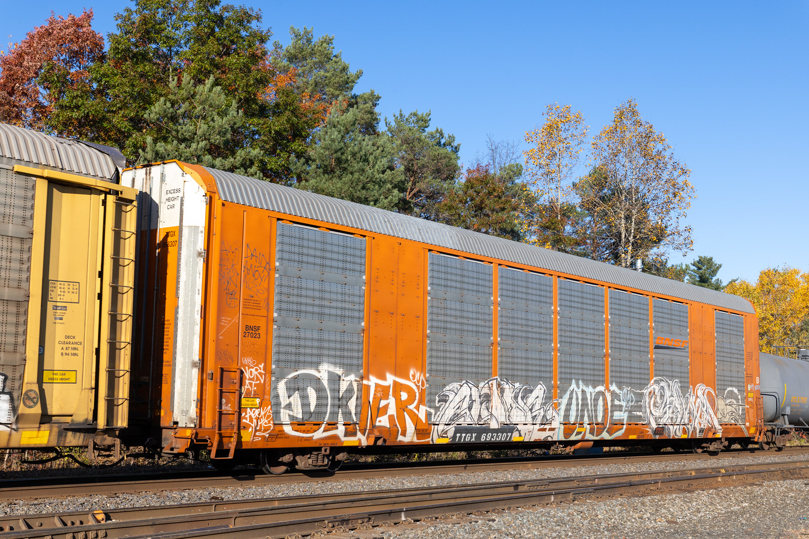 TTGX 693307