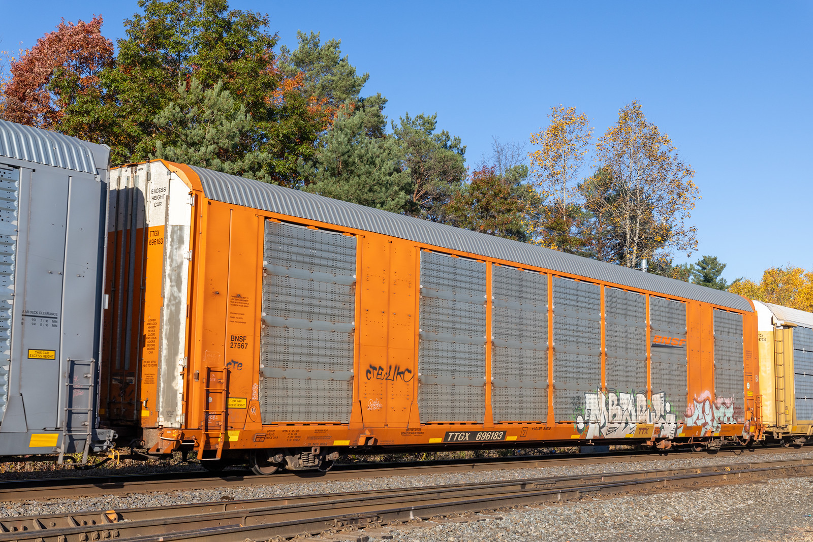 TTGX 696183