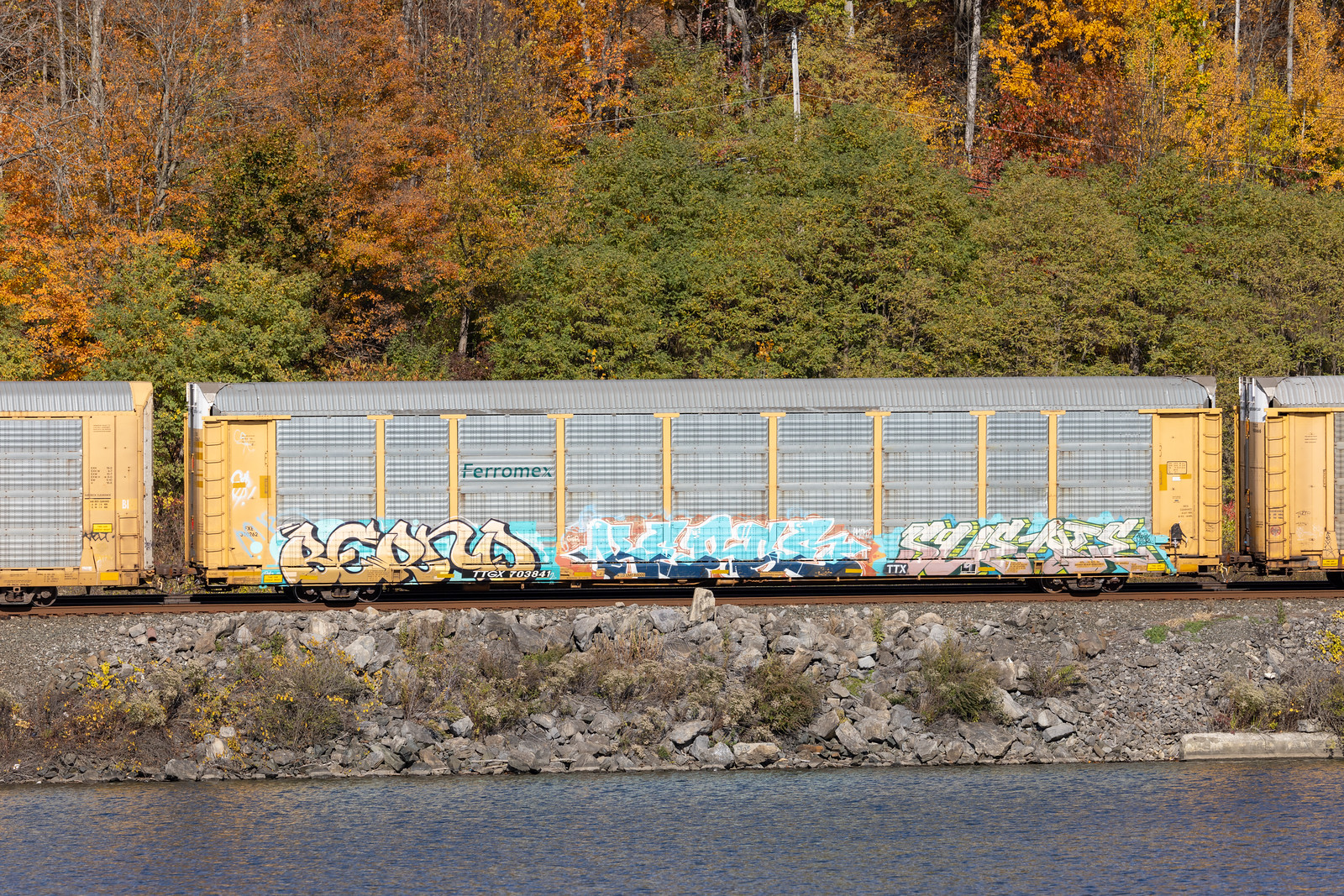 TTGX 703841