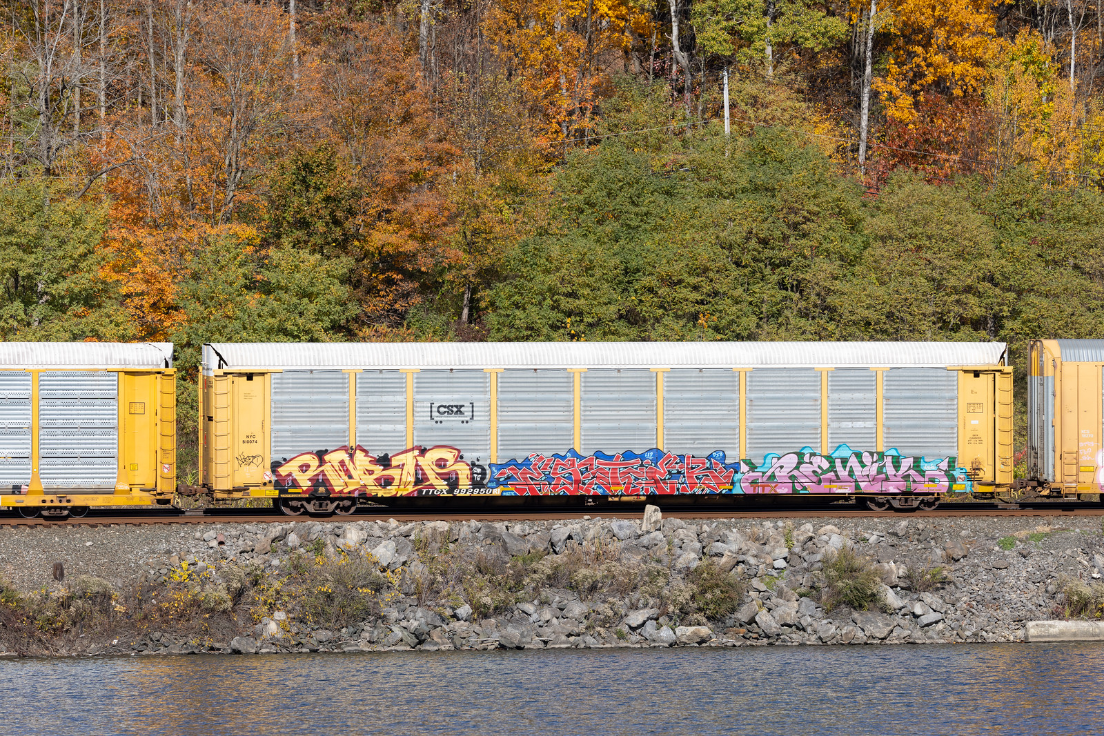 TTGX 992950