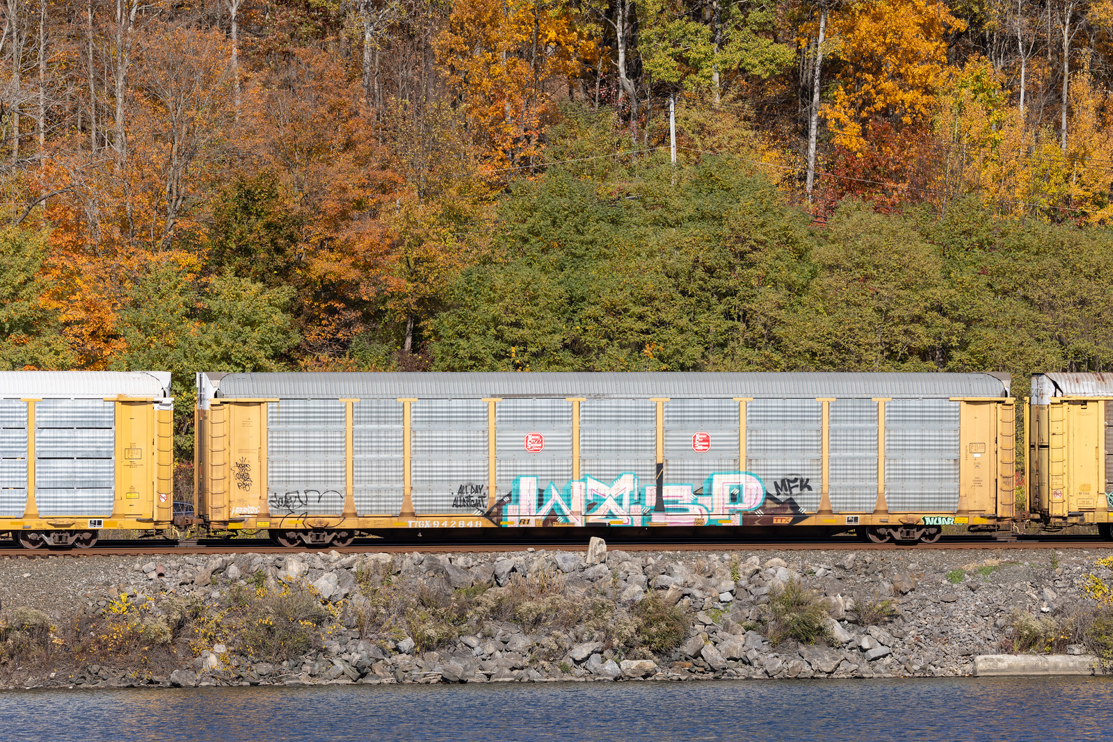 TTGX 942848