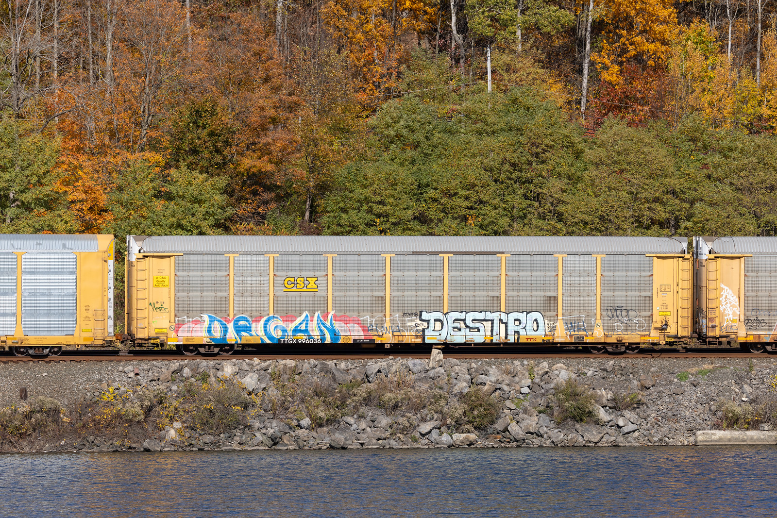 TTGX 996036