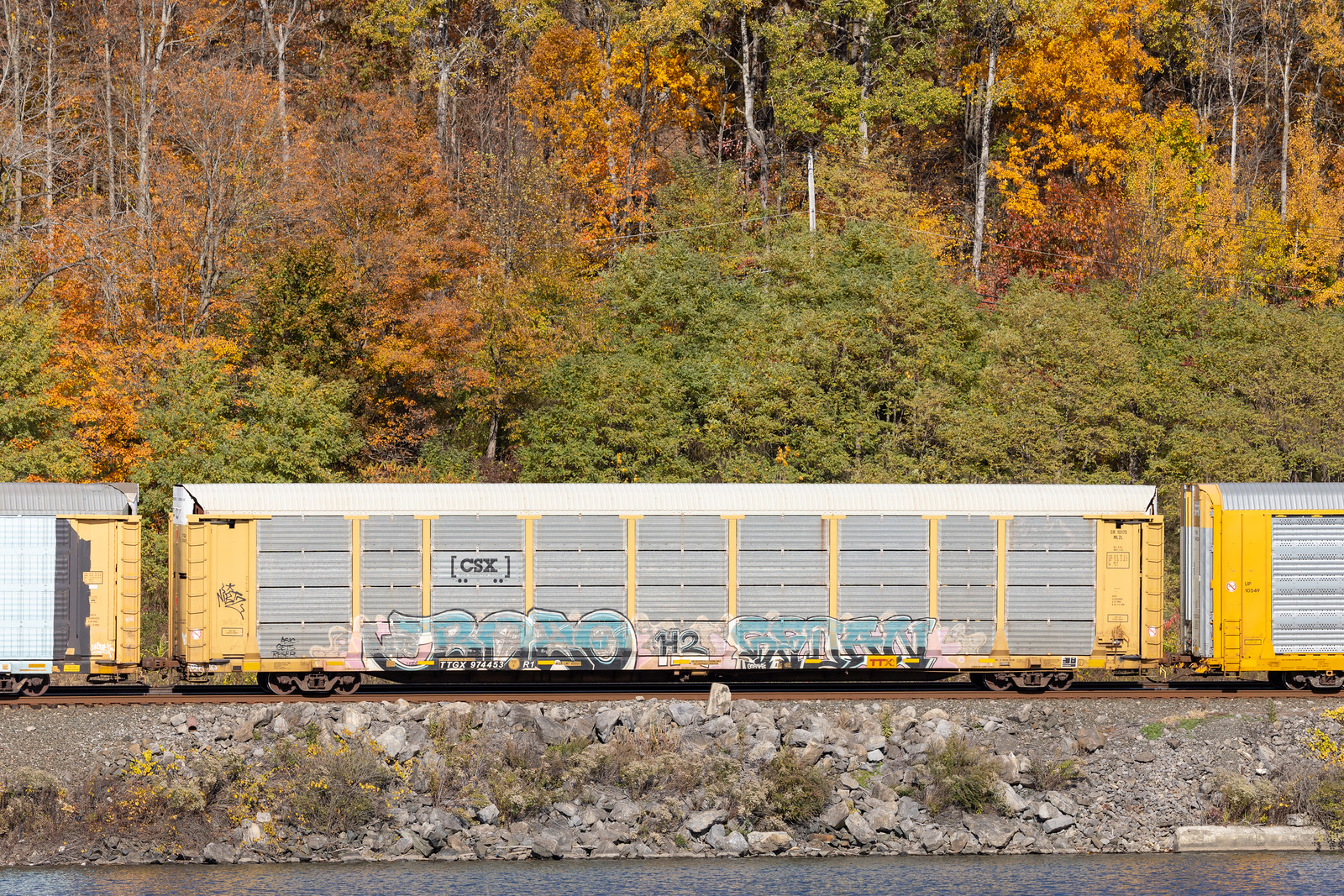 TTGX 974453
