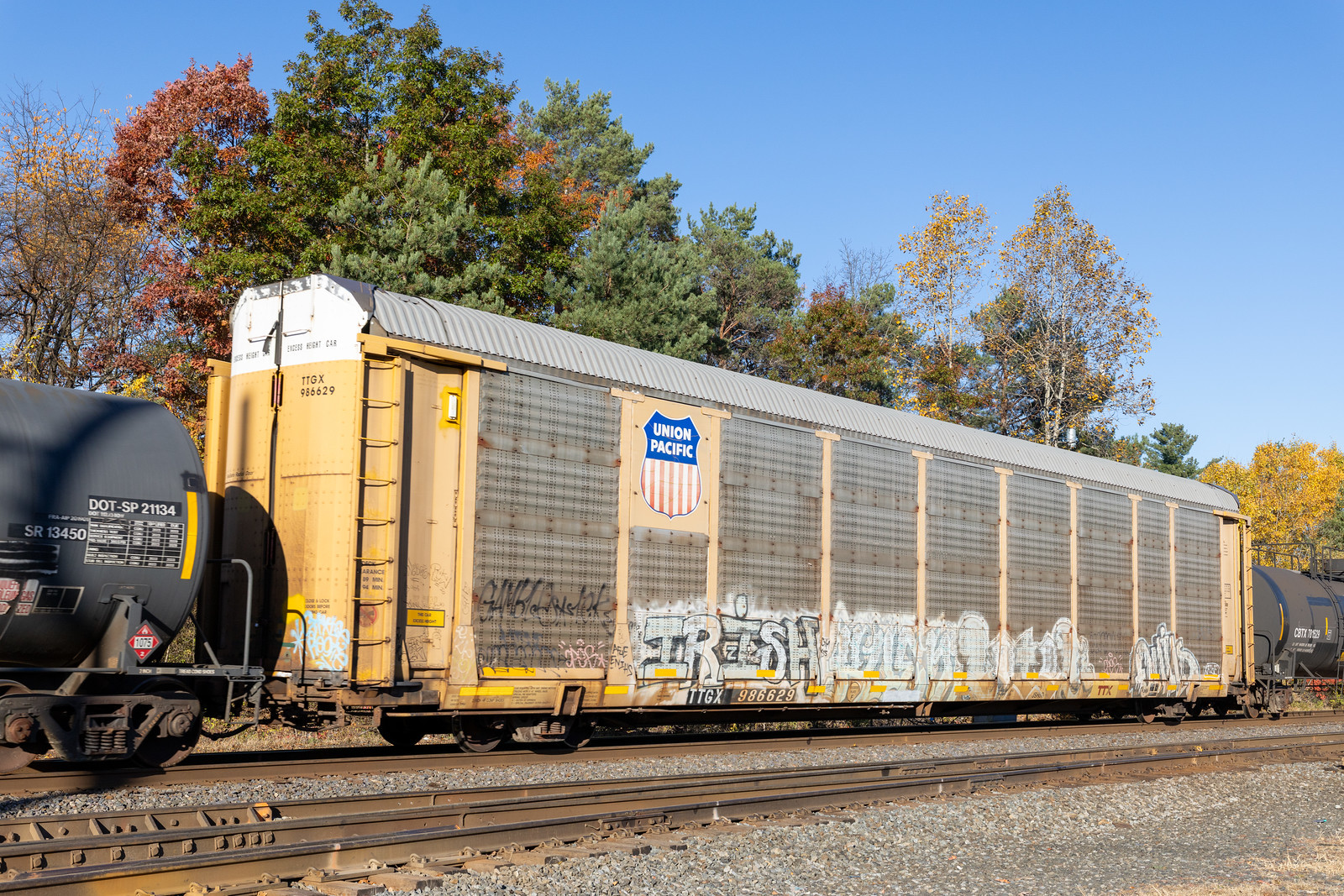 TTGX 986629