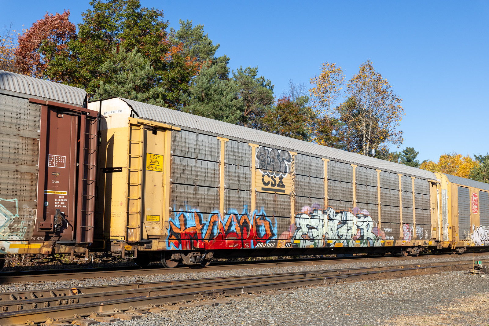 TTGX 980169