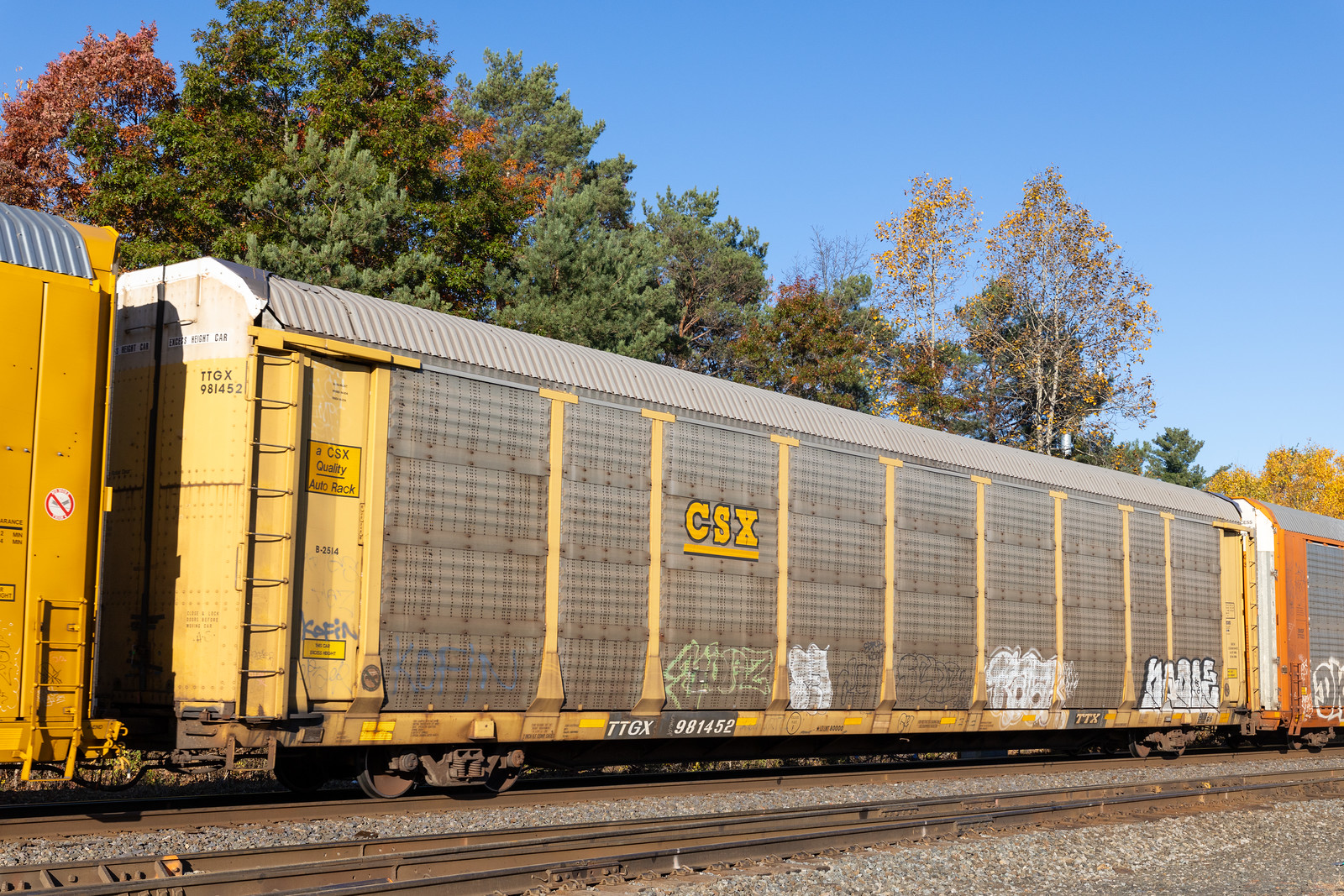 TTGX 981452
