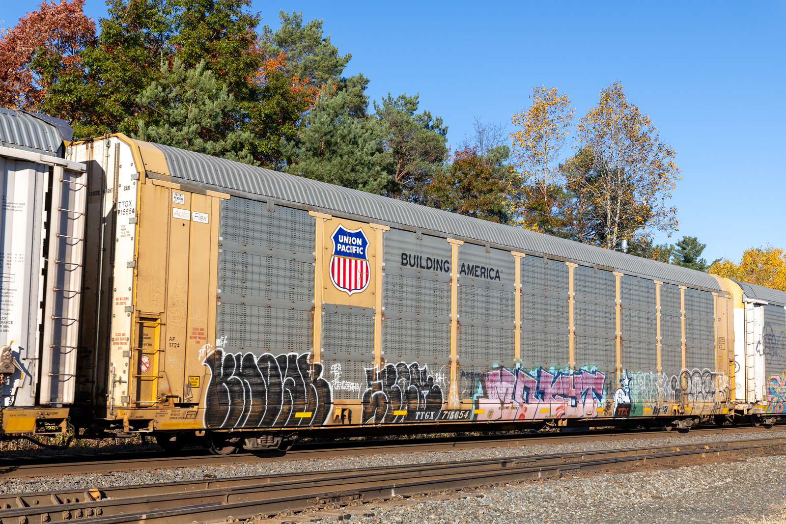 TTGX 715654