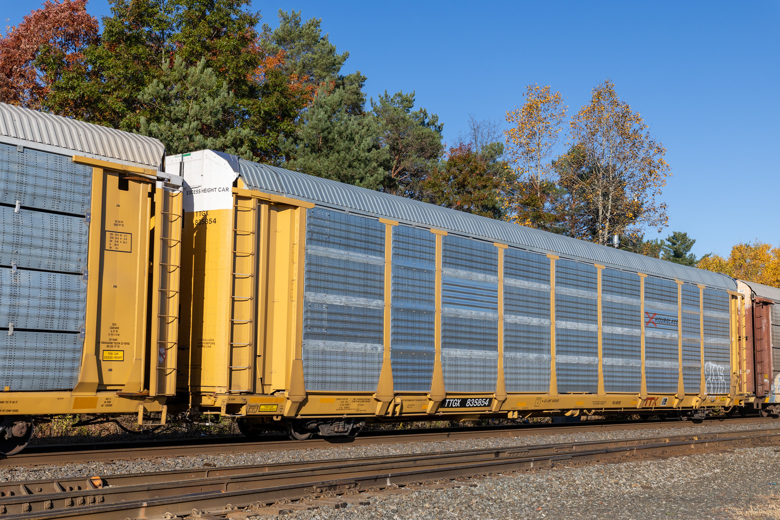 TTGX 835854