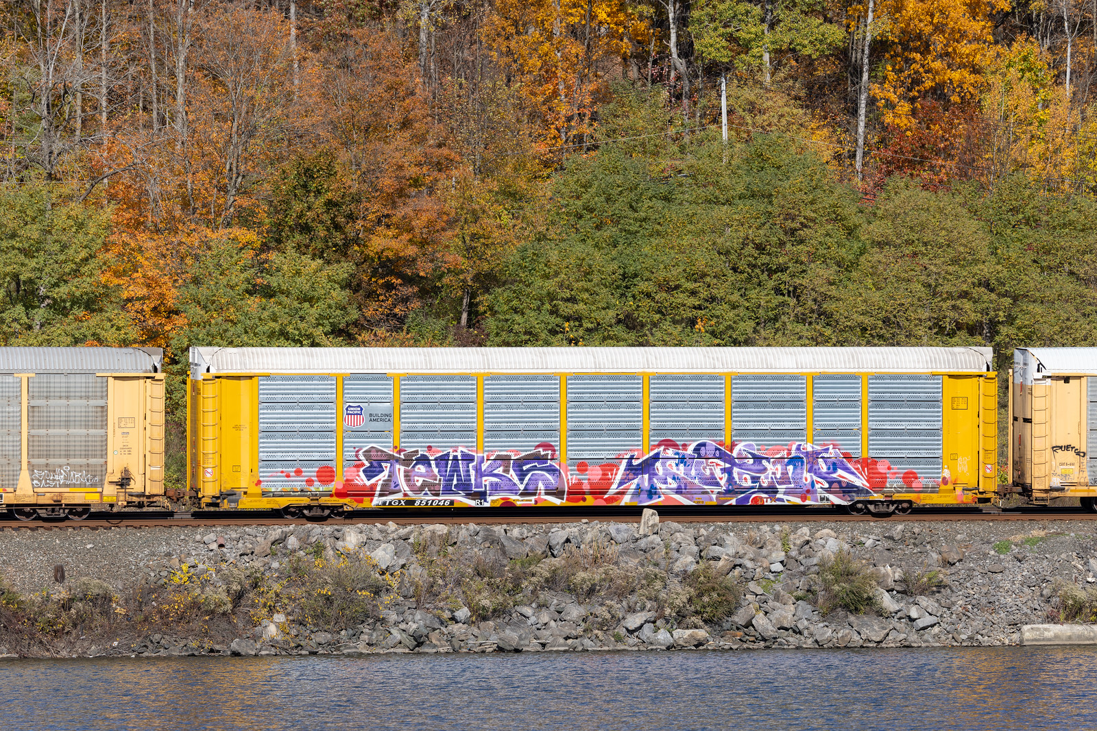 TTGX 851046