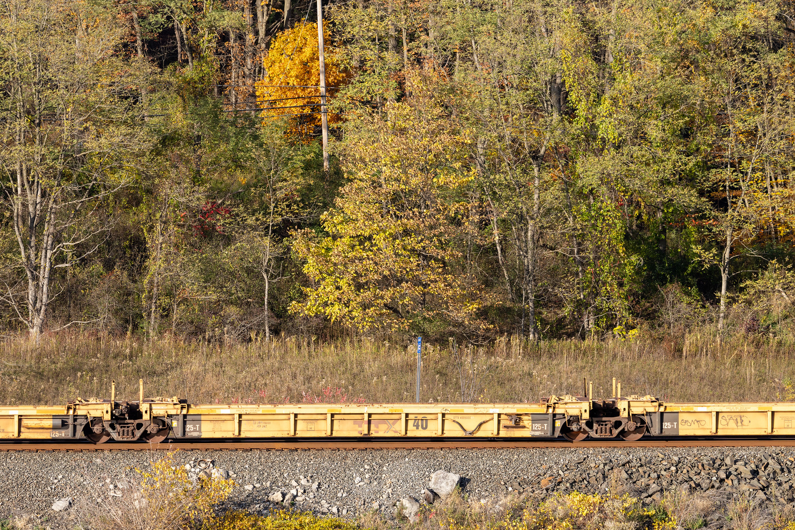 DTTX 400593C