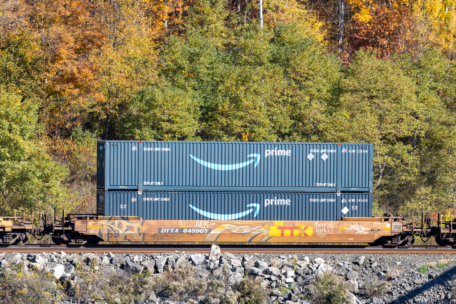 DTTX 645965