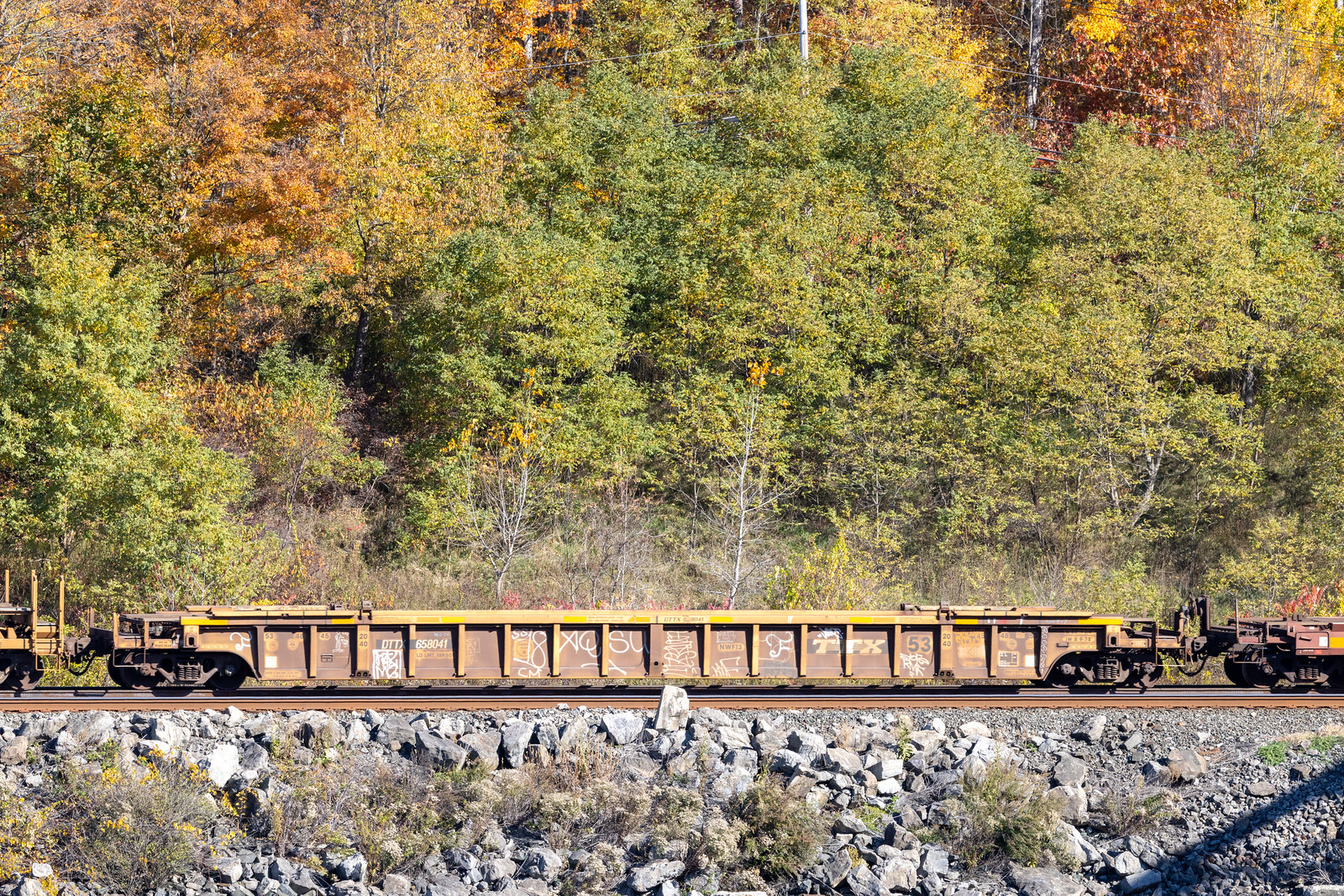 DTTX 658041