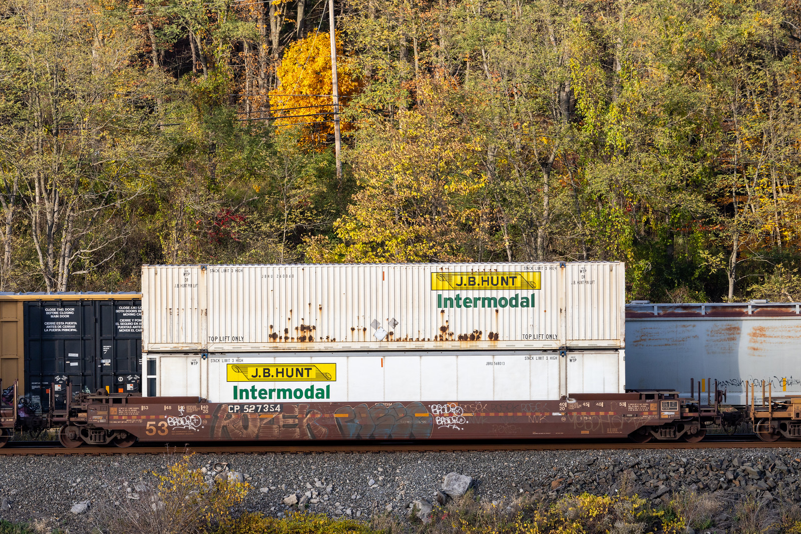 CP 527354