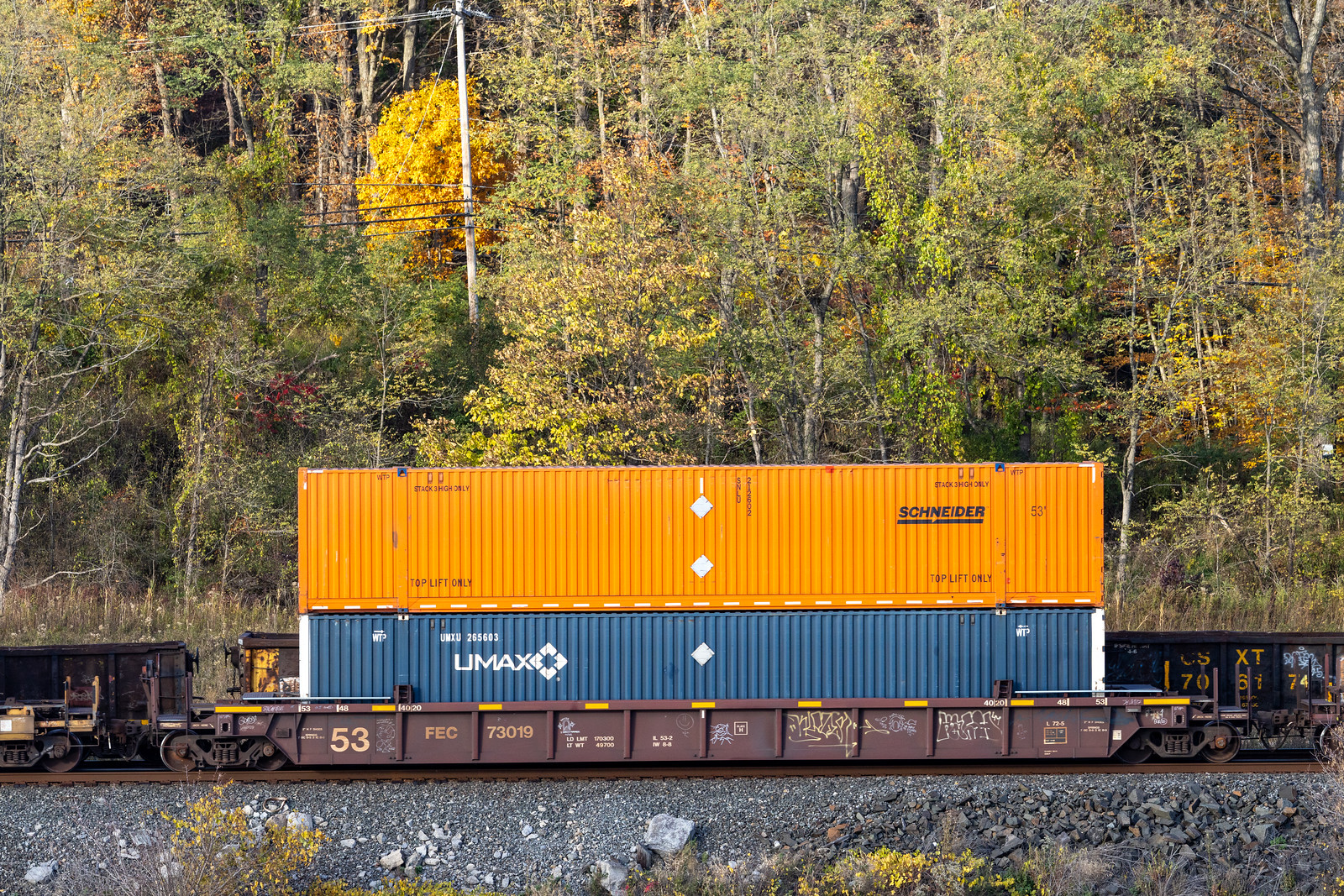 FEC 73019