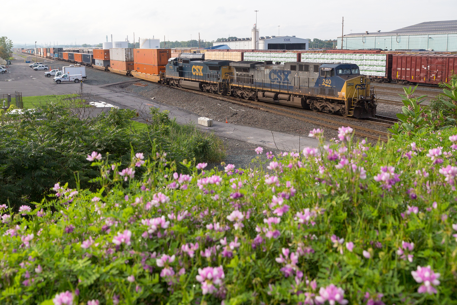 CSXT Q004 @ Selkirk, NY
