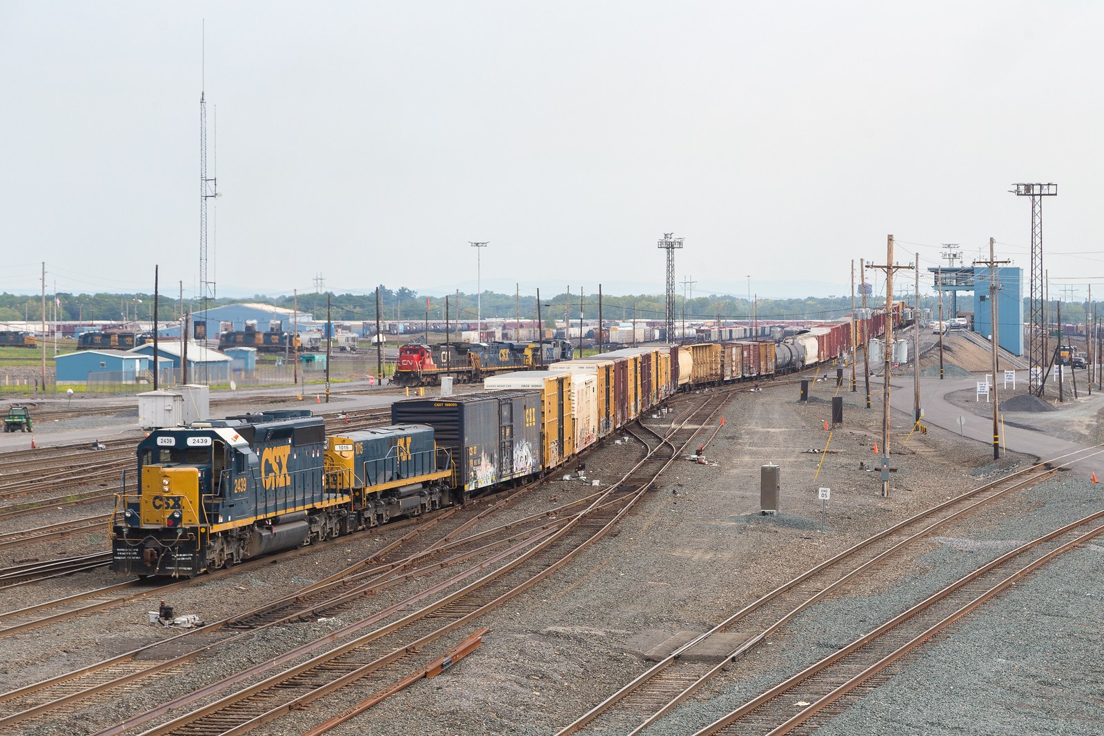 CSXT 2439 @ Selkirk, NY