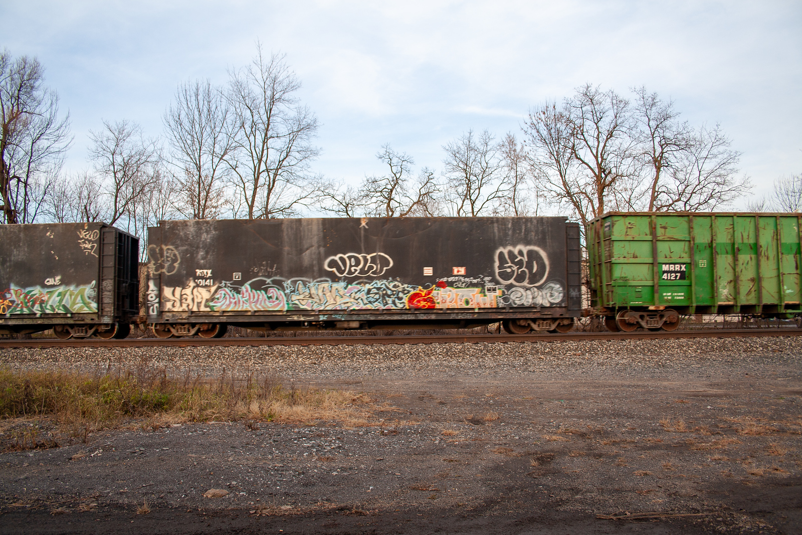 BFTX 10141