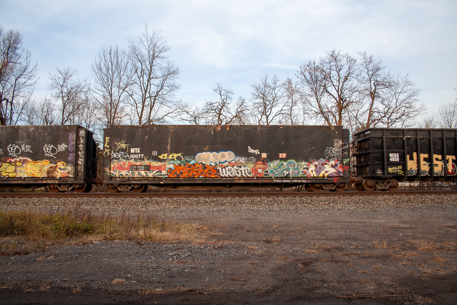 BFTX 10077