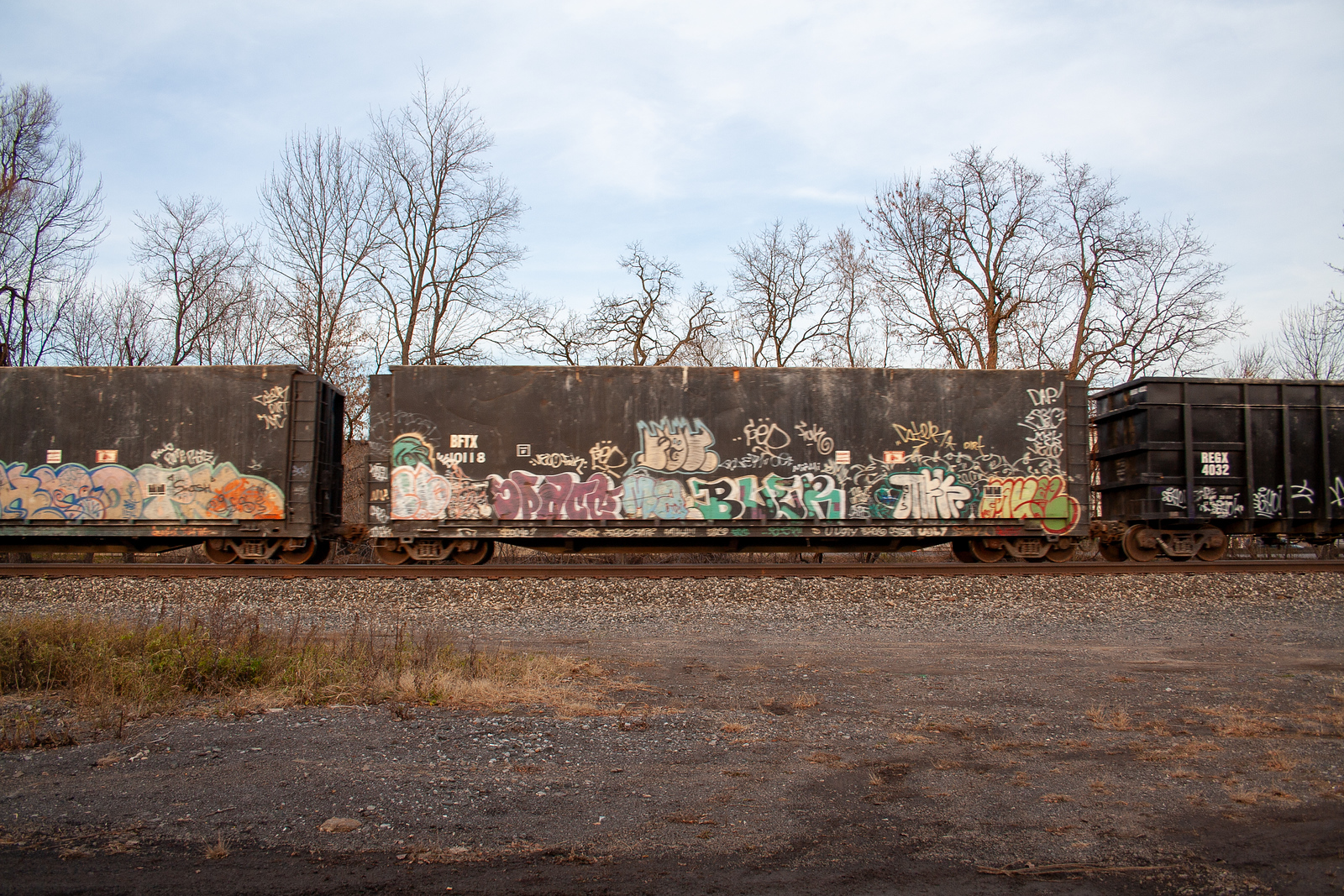 BFTX 10118