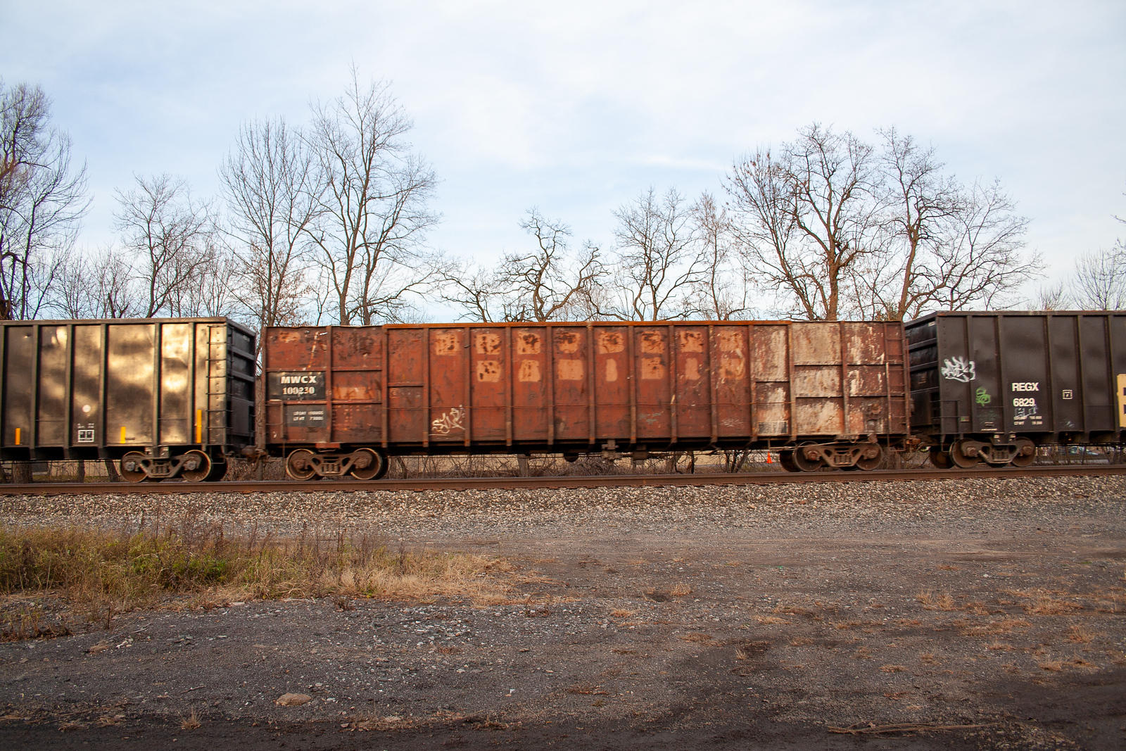 MWCX 100230