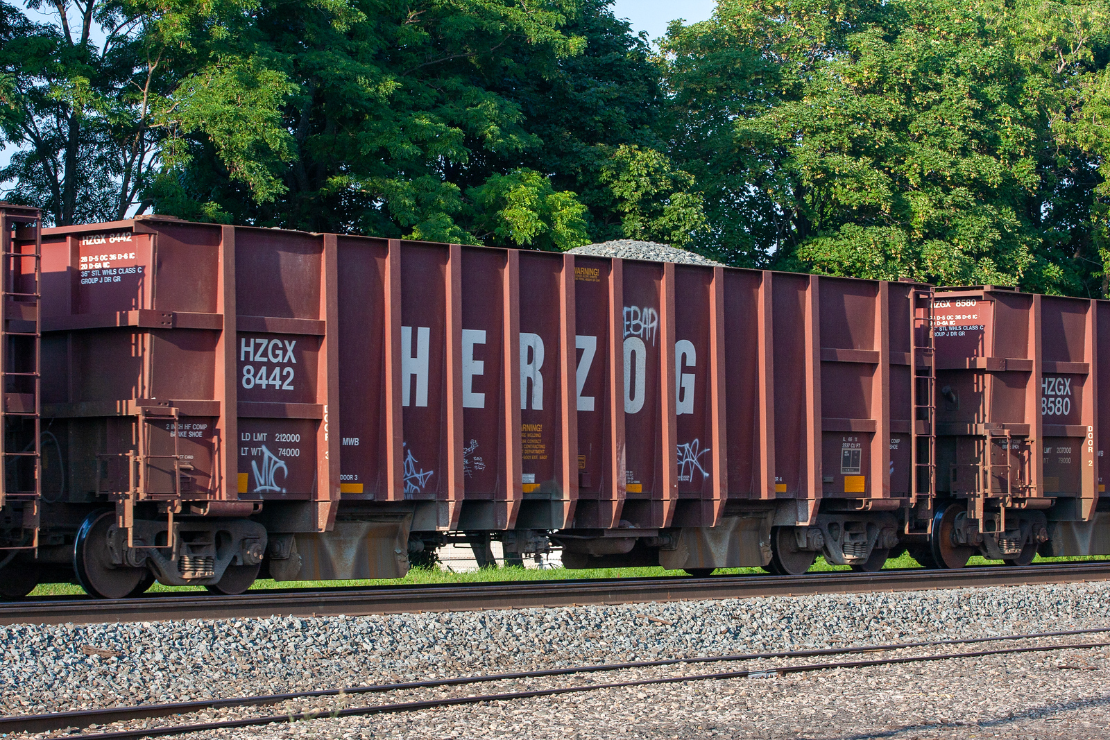 HZGX 8442