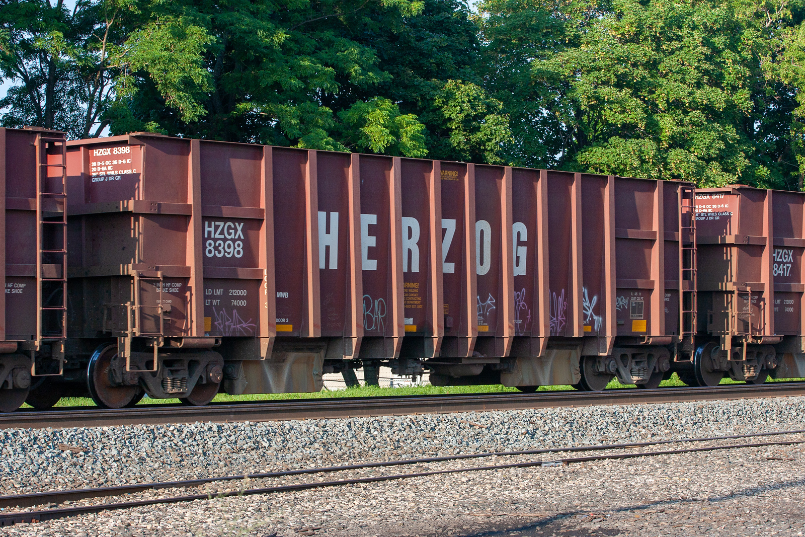 HZGX 8398