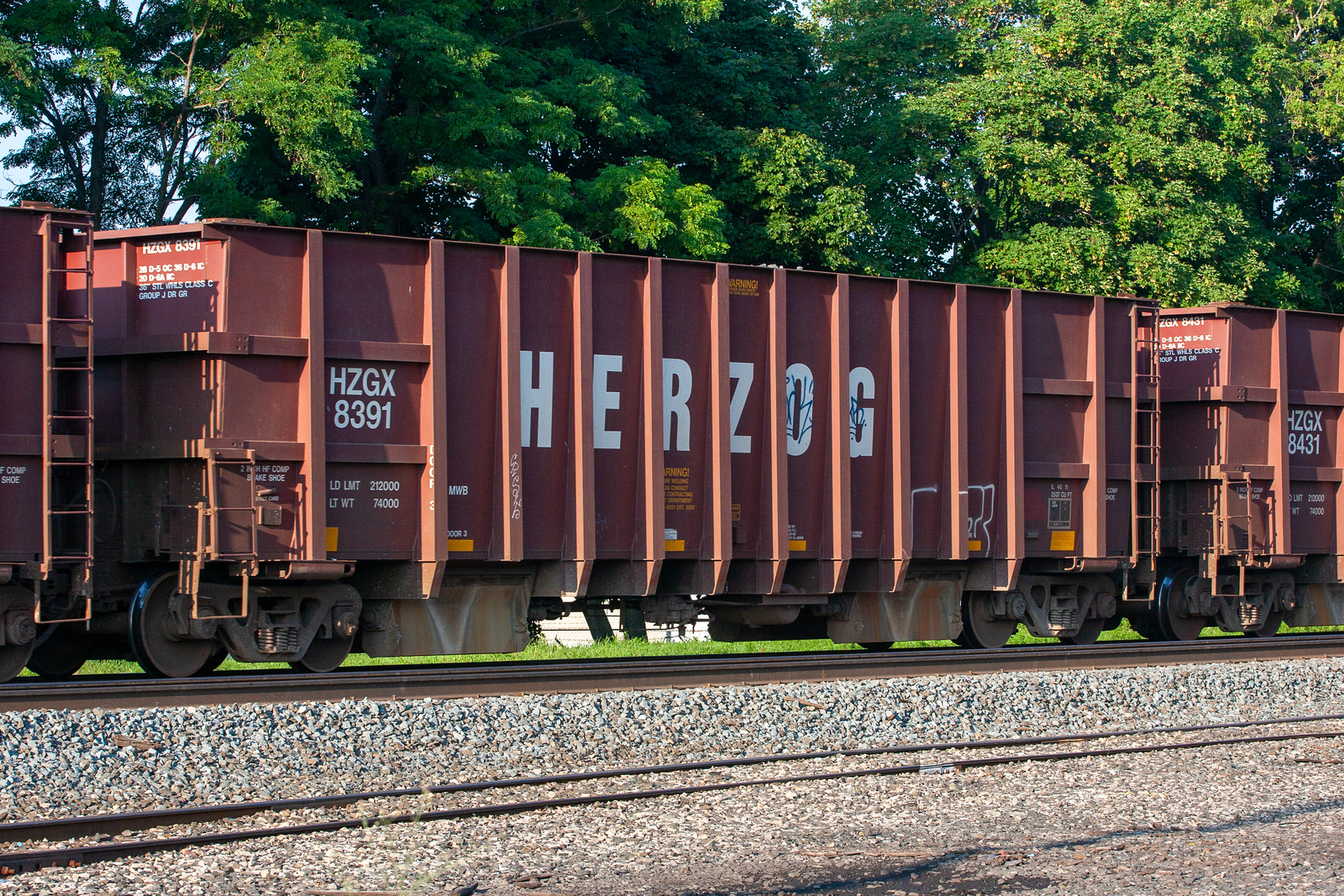 HZGX 8391