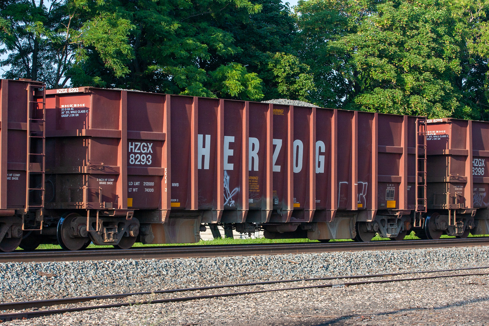 HZGX 8293