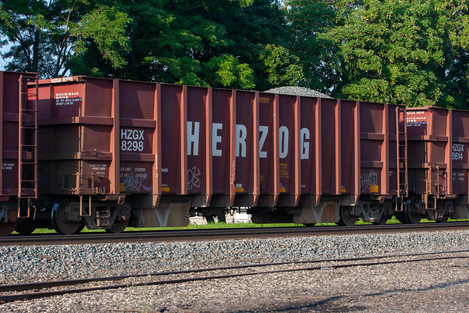 HZGX 8298