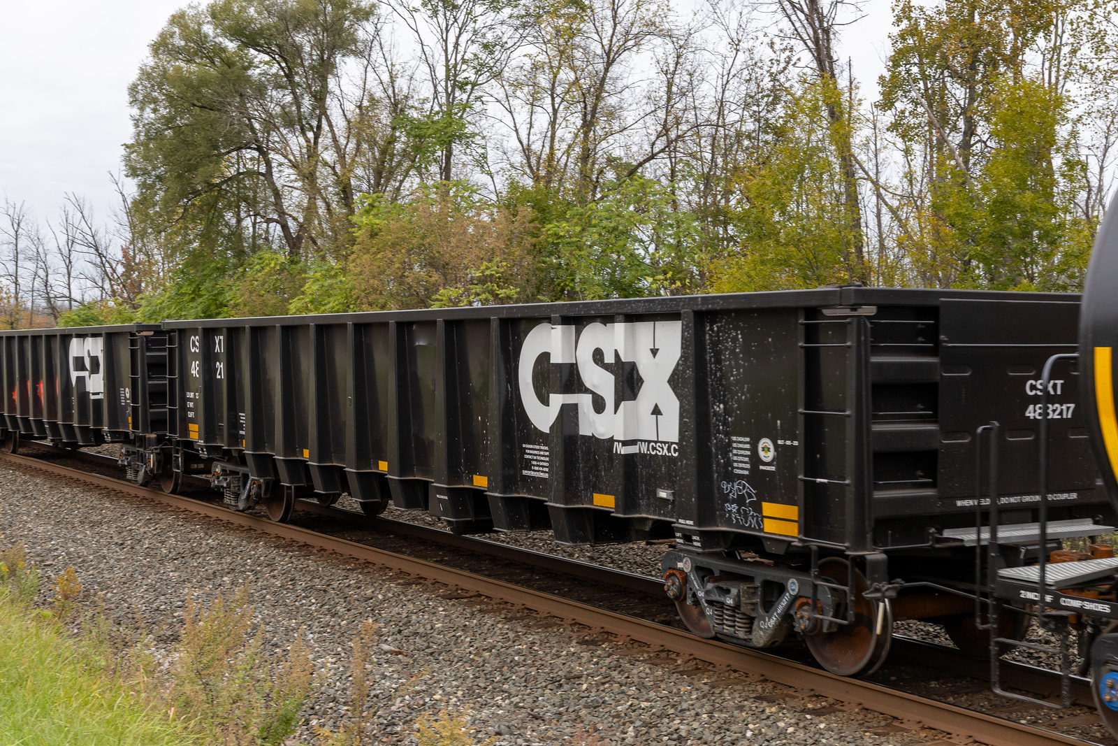 CSXT 483217