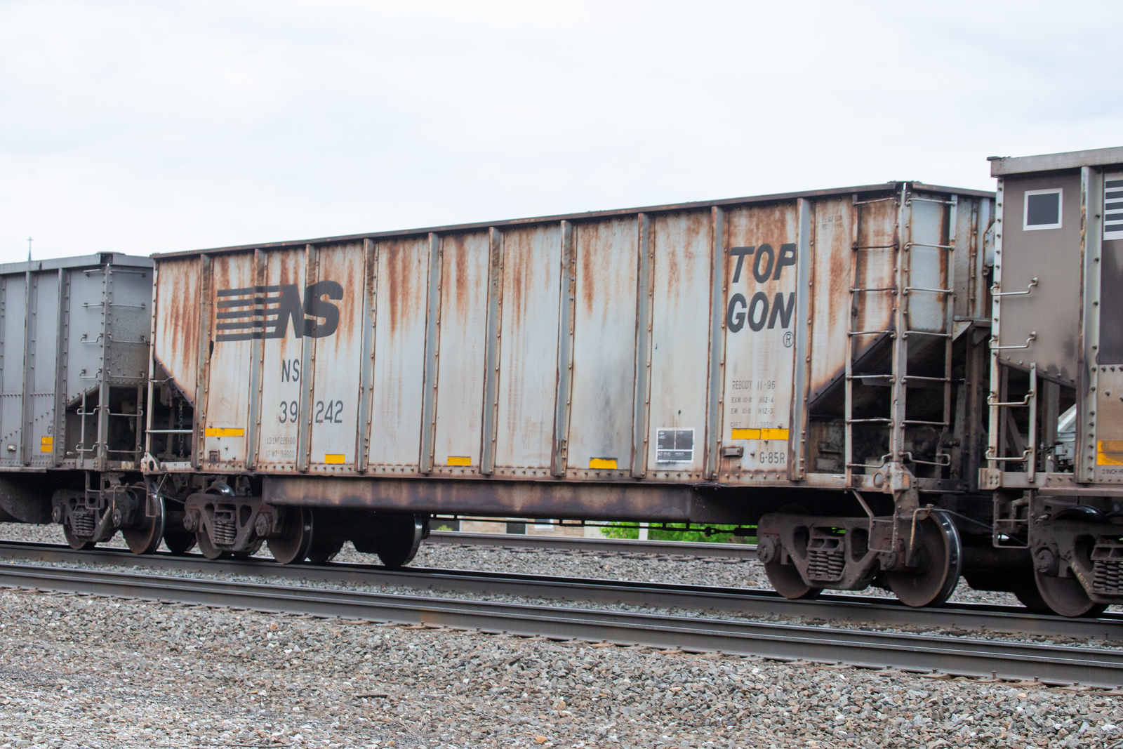 NS 39242