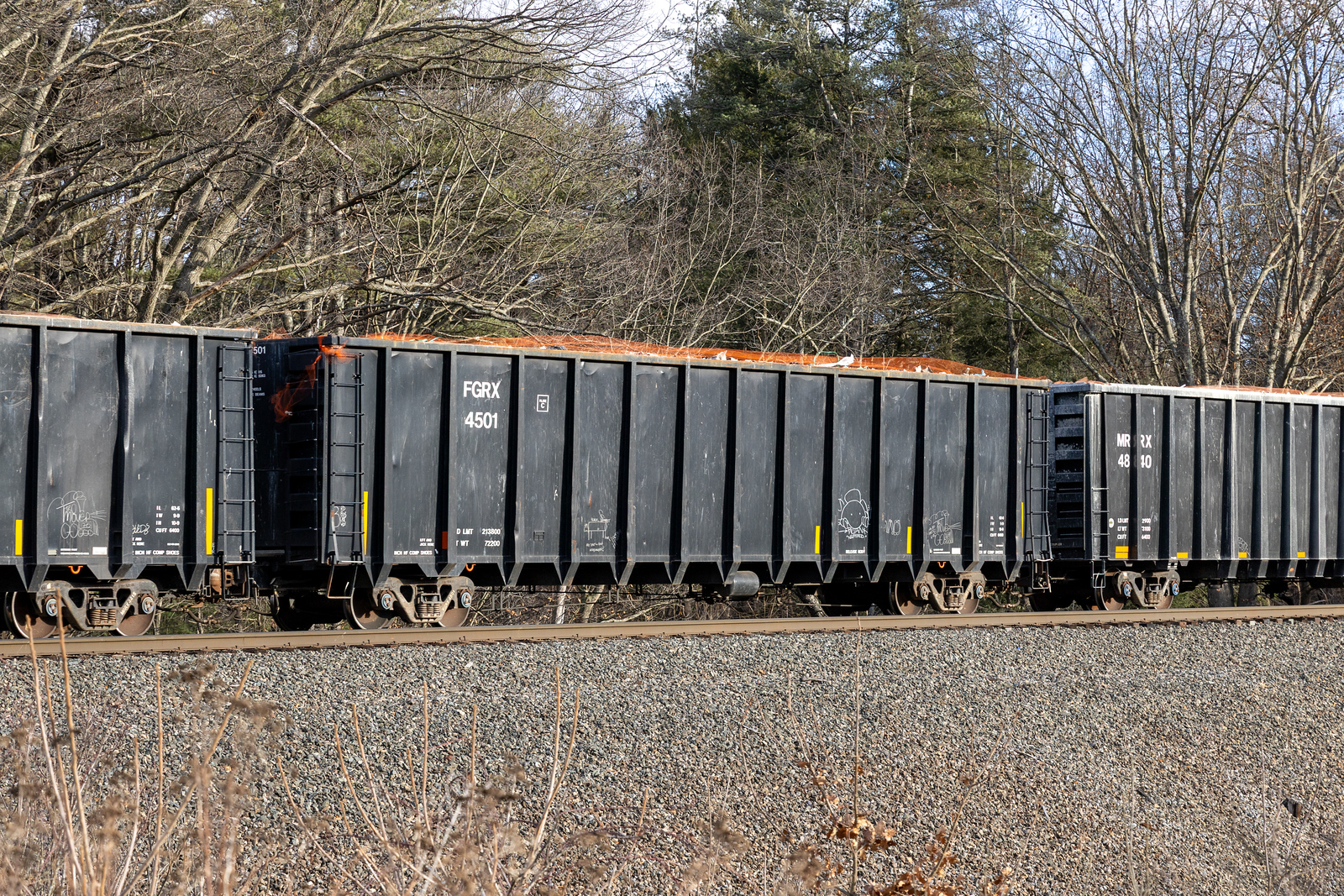 FGRX 4501