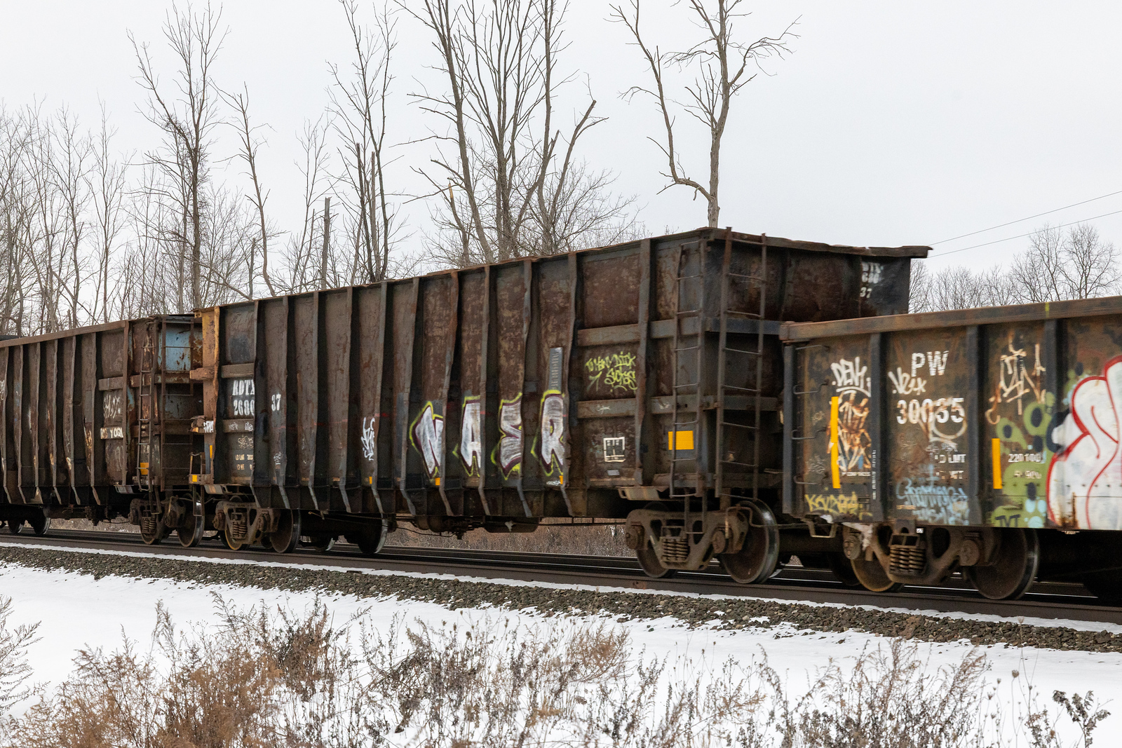 RDTX 268037