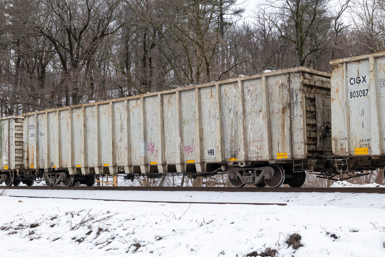 CITX 349964