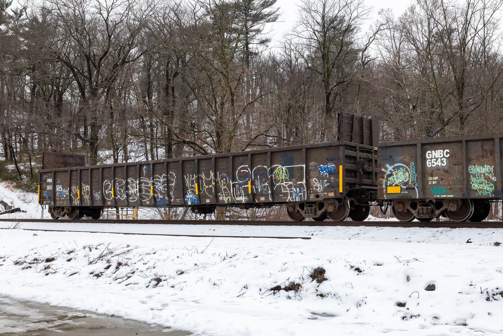 GNBC 365004