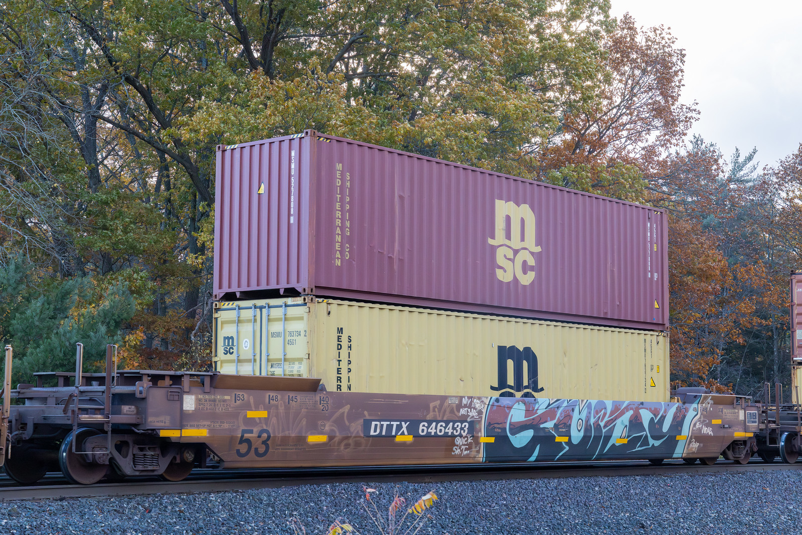 DTTX 646433