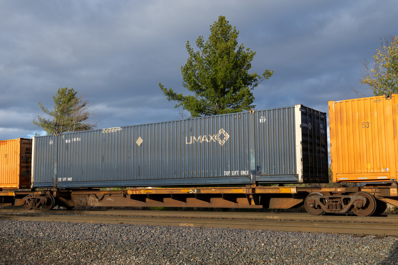 TTAX 554019C