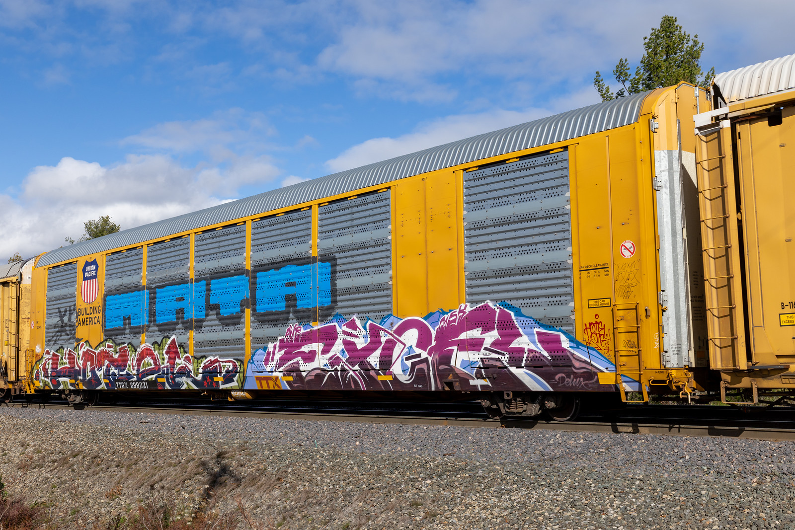 TTGX 699221