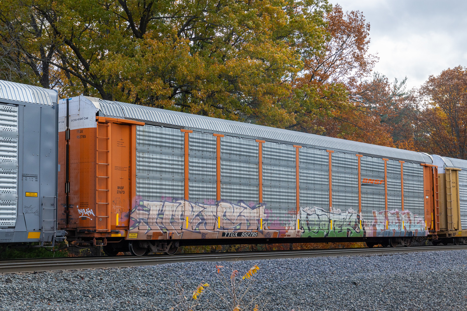 TTGX 952785