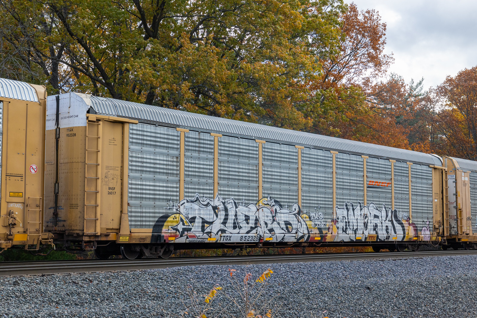 TTGX 952328